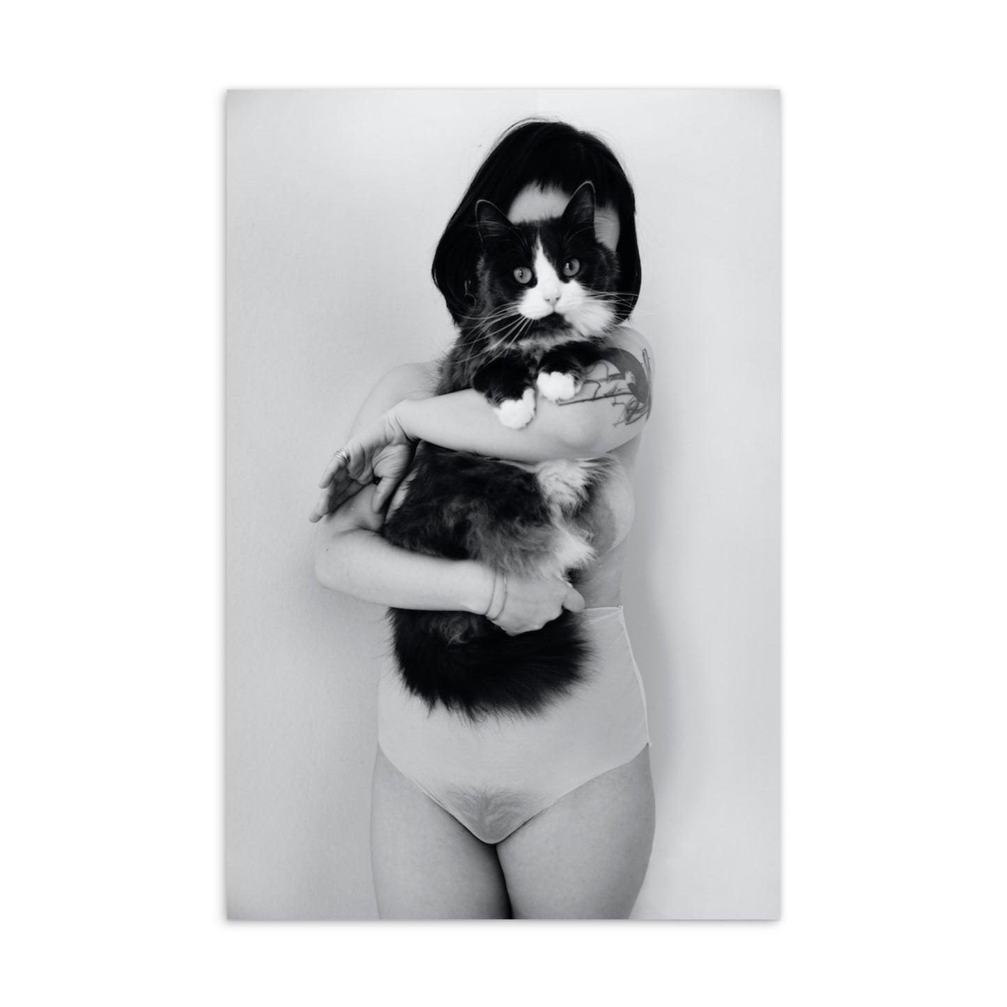 PUSSY CAT Katastrofffe Standard Postcard