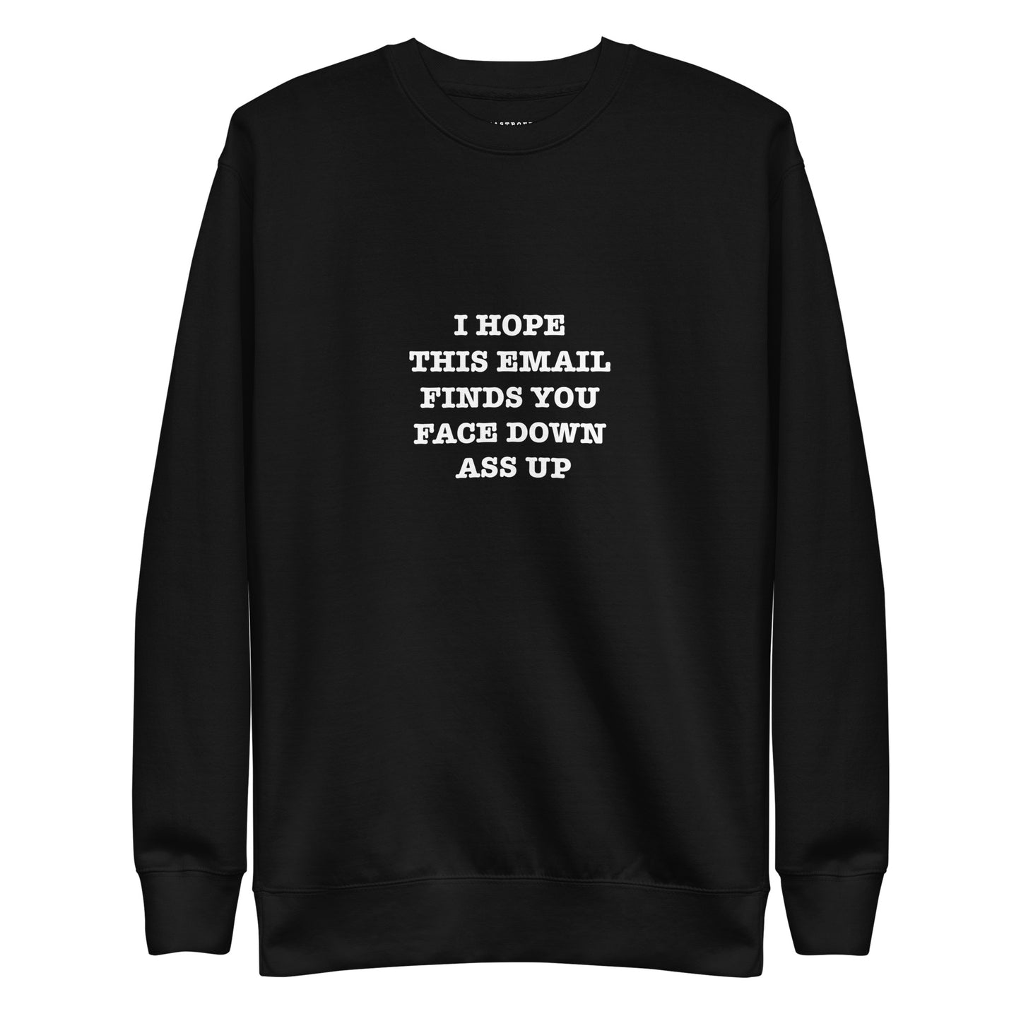 I HOPE THIS EMAIL FINDS YOU FACE DOWN ASS UP Unisex Premium Sweatshirt