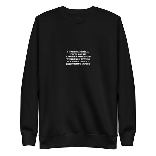 I HOPE THIS EMAIL  FINDS YOU IN  ANOTHER DIMENSION WHERE NON OF THIS  IS HAPPENING AND  EVERYTHING IS FINE  Unisex Premium Sweatshirt